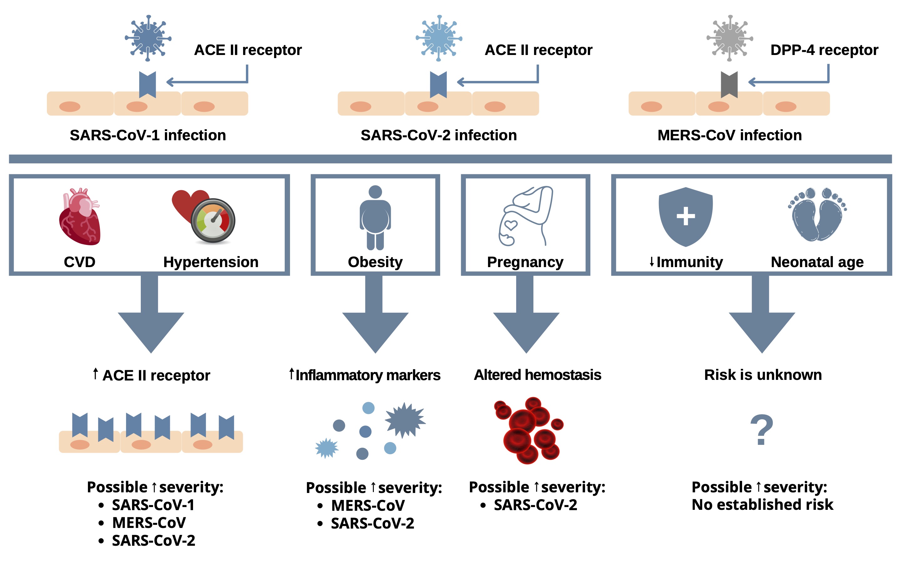 Proposed model of interaction between host factors and viral agents: SARS-CoV-1, MERS-CoV, and SARS-CoV-2: